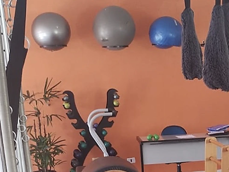 Bolas suíças penduradas na parede, acima do rack de halteres coloridos e do vaso de planta